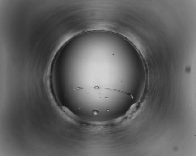 X0000103320949200809051144