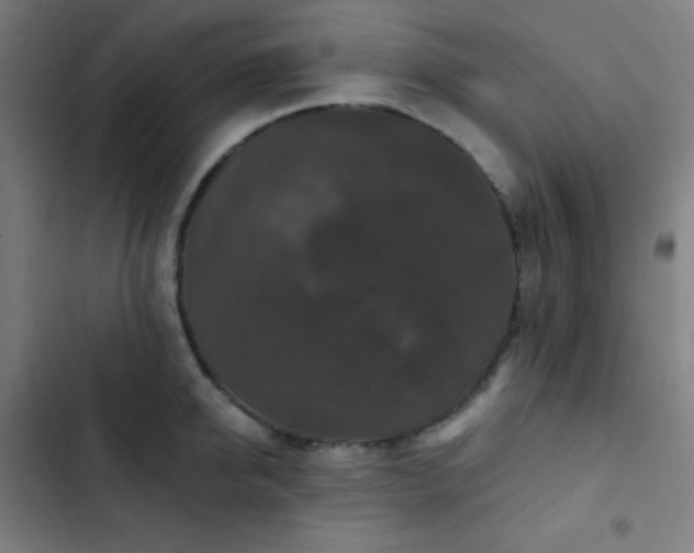 X0000103320950200809051144