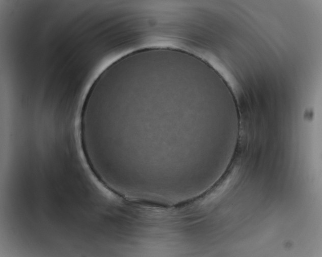 X0000103320951200809051144