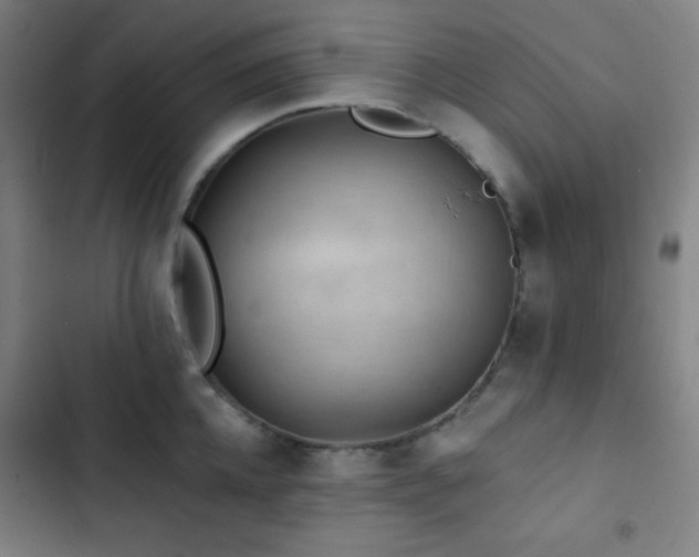 X0000103320952200809051144