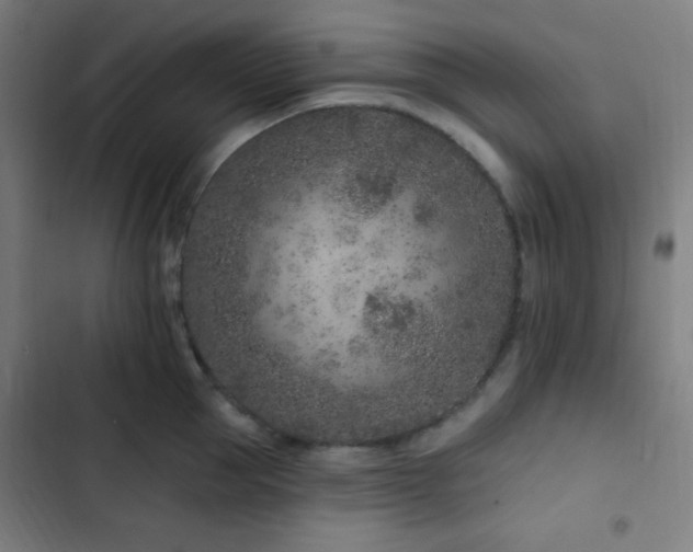 X0000103320953200809051144