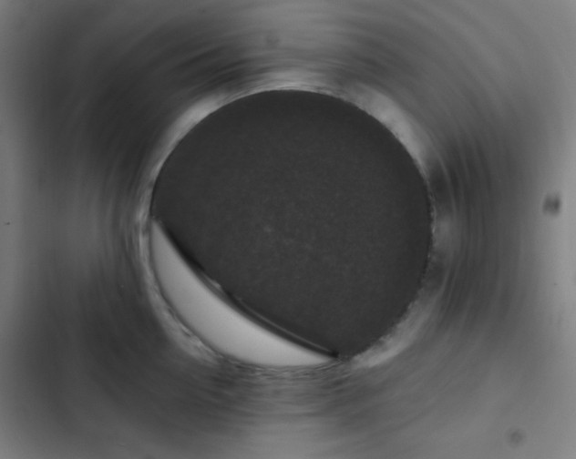 X0000103320954200809051144