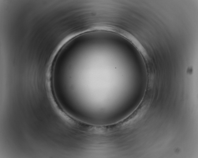 X0000103320955200809051144