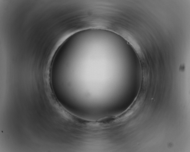 X0000103320956200809051144