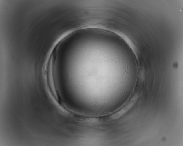 X0000103320957200809051144