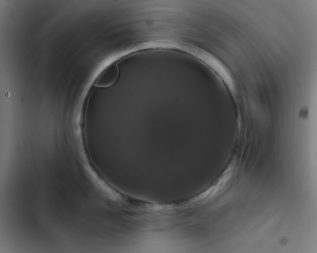 X0000103320958200809051144