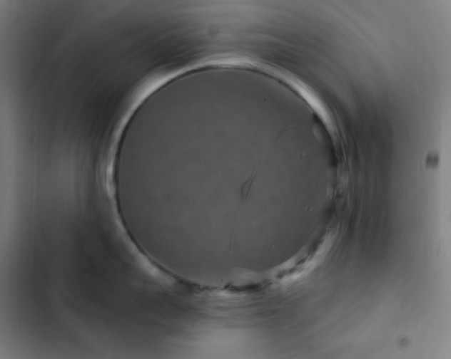 X0000103320959200809051144