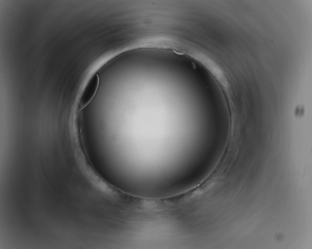 X0000103320960200809051144