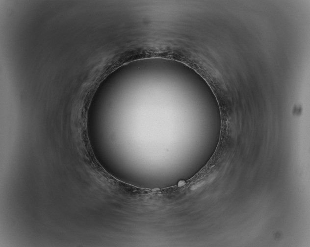 X0000103320961200809051143