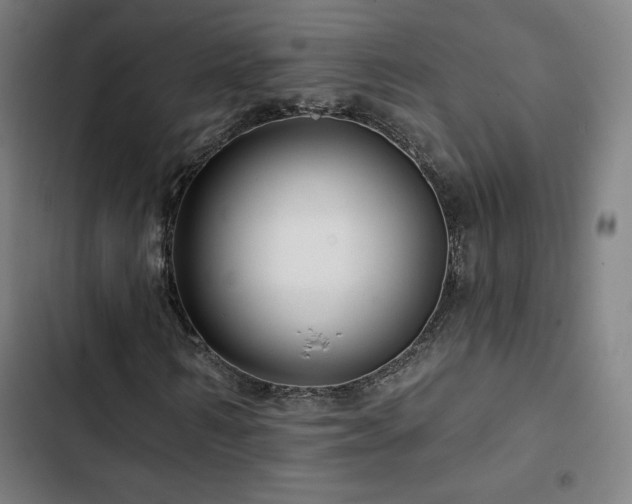 X0000103320962200809051143