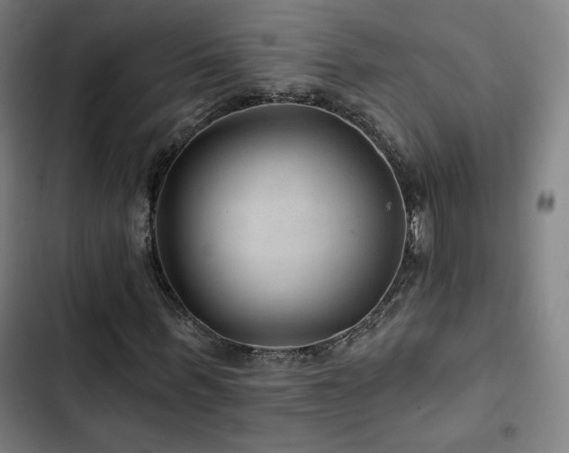 X0000103320963200809051143