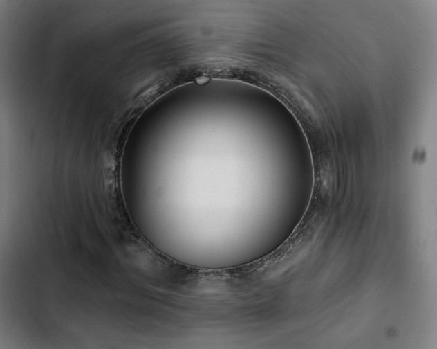 X0000103320964200809051143
