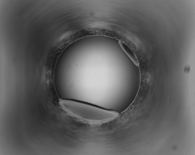 X0000103320965200809051143