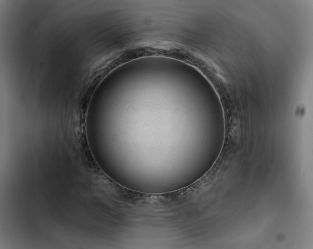 X0000103320966200809051143