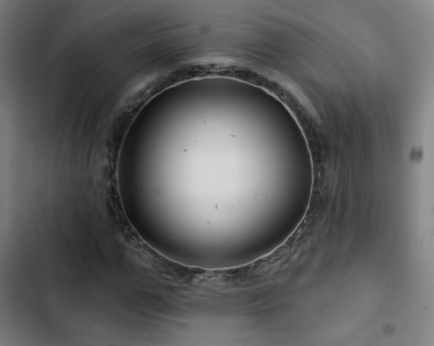 X0000103320967200809051143