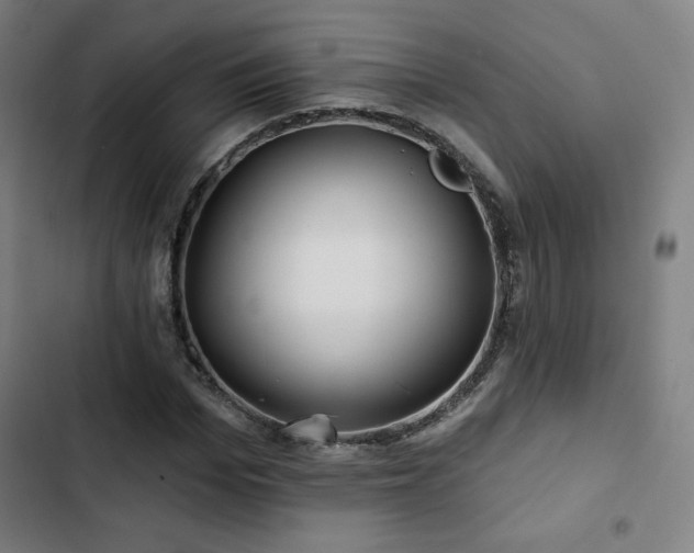 X0000103320969200809051143