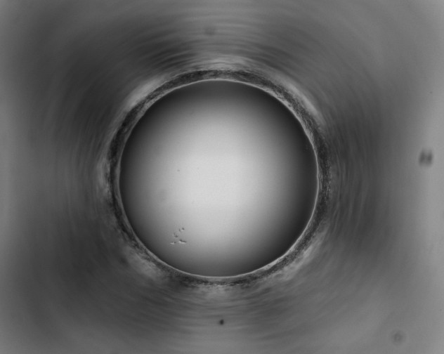 X0000103320970200809051143