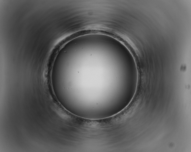 X0000103320971200809051143