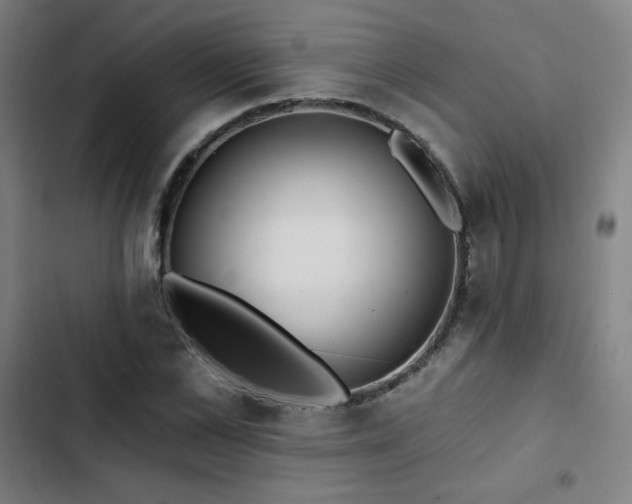 X0000103320973200809051143