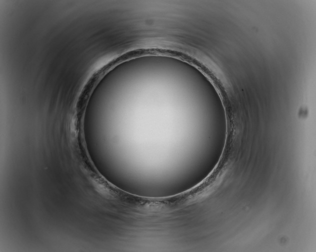 X0000103320974200809051143