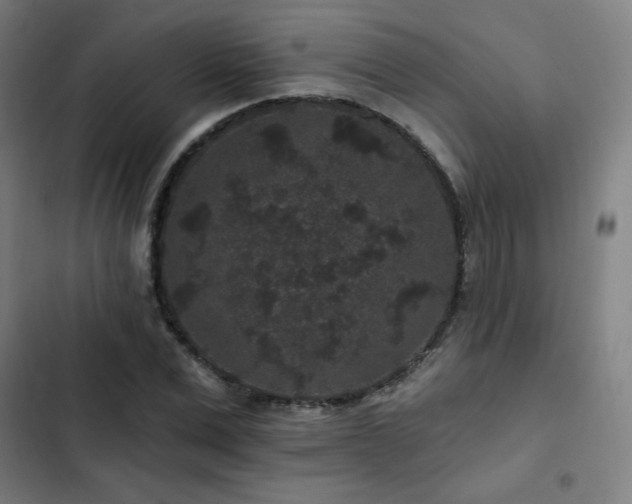 X0000103320975200809051143