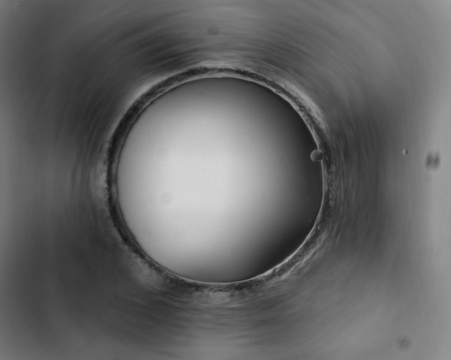 X0000103320976200809051143