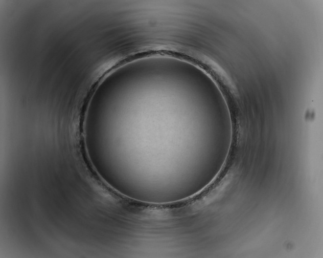 X0000103320977200809051143