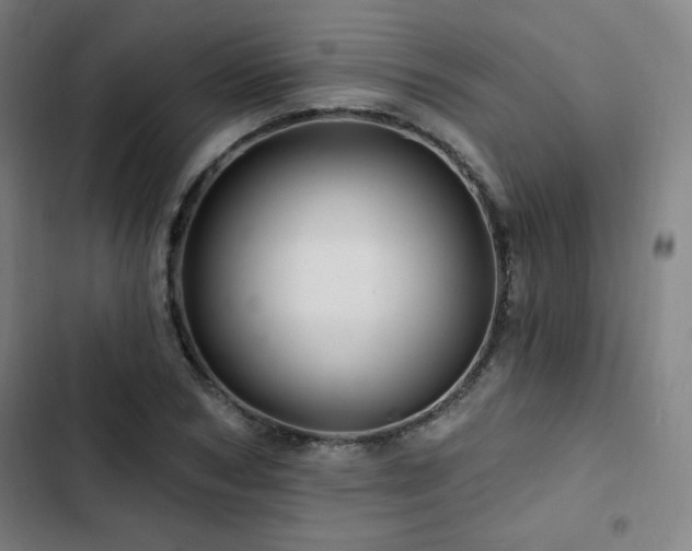 X0000103320978200809051143