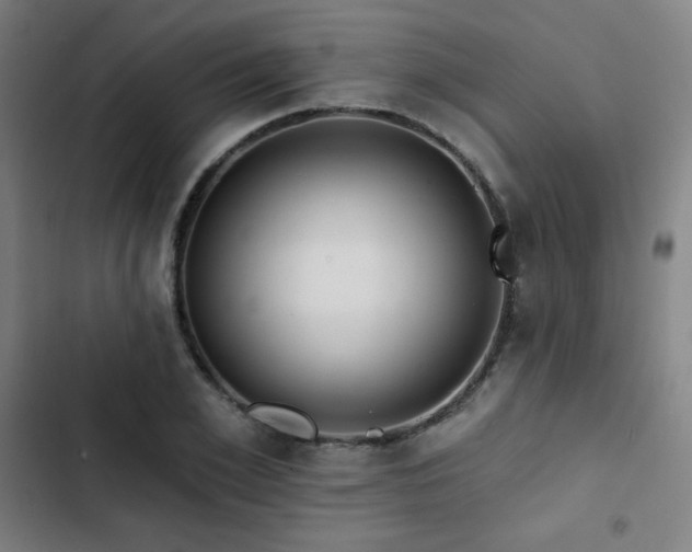 X0000103320981200809051143
