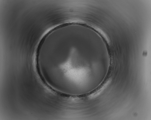 X0000103320983200809051143