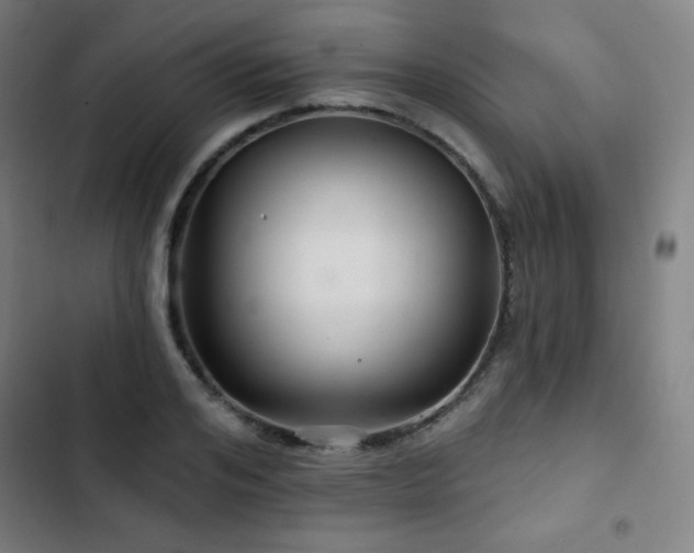 X0000103320984200809051143