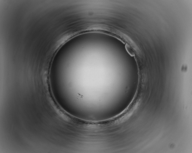 X0000103320985200809051143