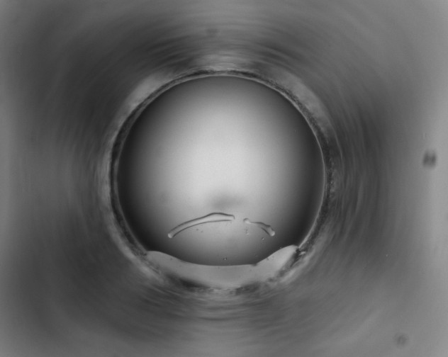 X0000103320986200809051143