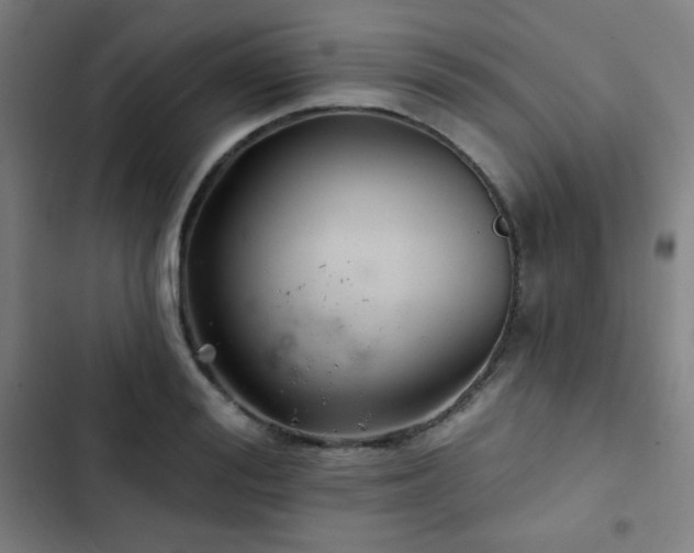 X0000103320988200809051143