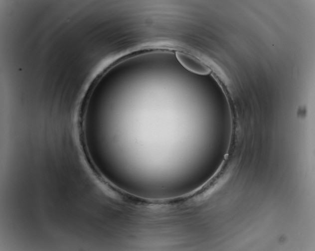 X0000103320989200809051143