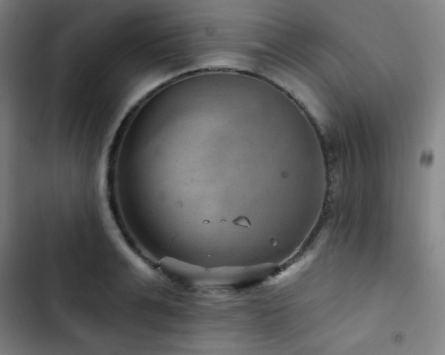 X0000103320991200809051143