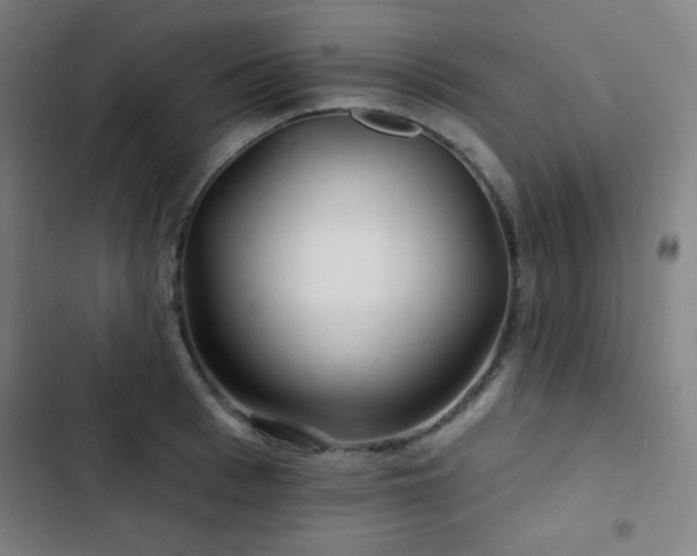 X0000103320993200809051143