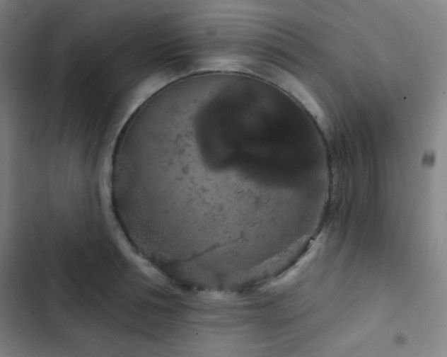 X0000103320994200809051143