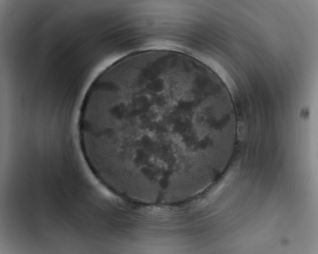 X0000103320995200809051143