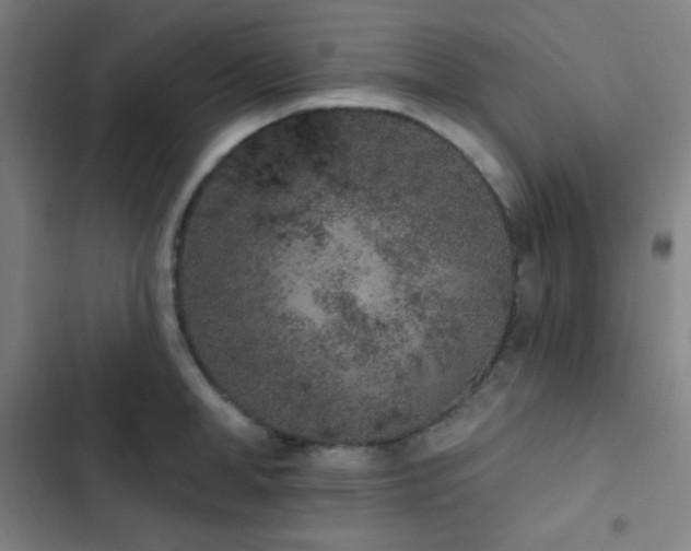 X0000103320998200809051143