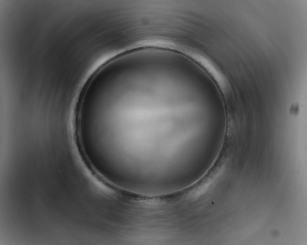 X0000103320999200809051143
