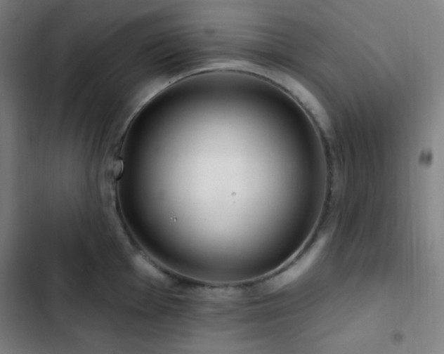X0000103321001200809051143