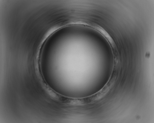 X0000103321002200809051143