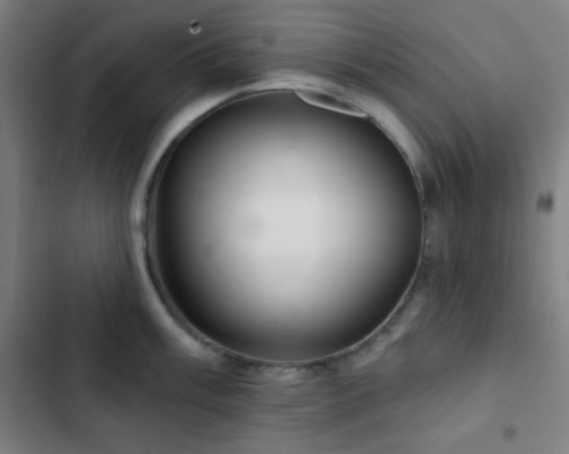 X0000103321003200809051143