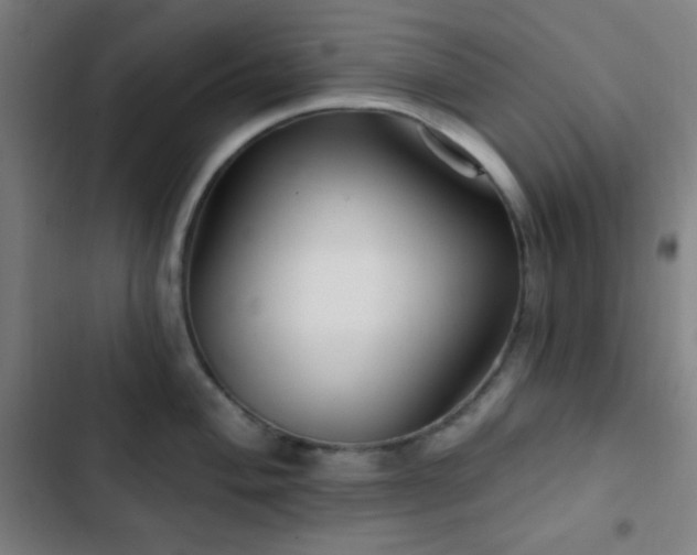 X0000103321004200809051143