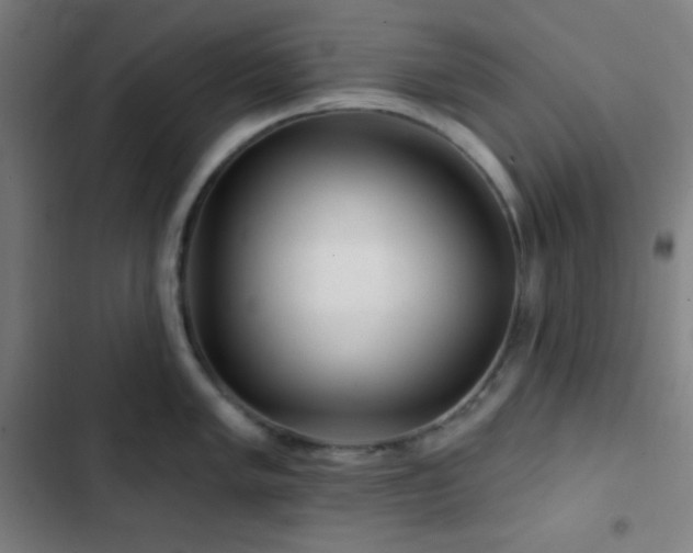 X0000103321005200809051143