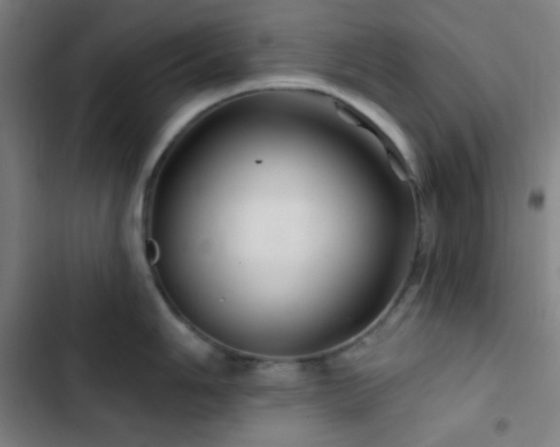X0000103321006200809051143