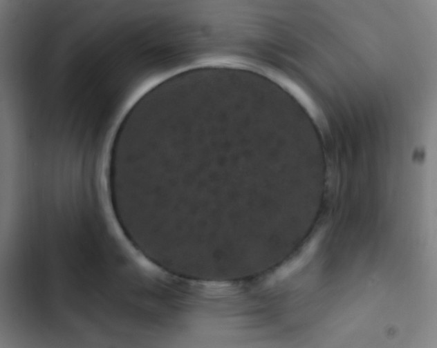 X0000103321007200809051143