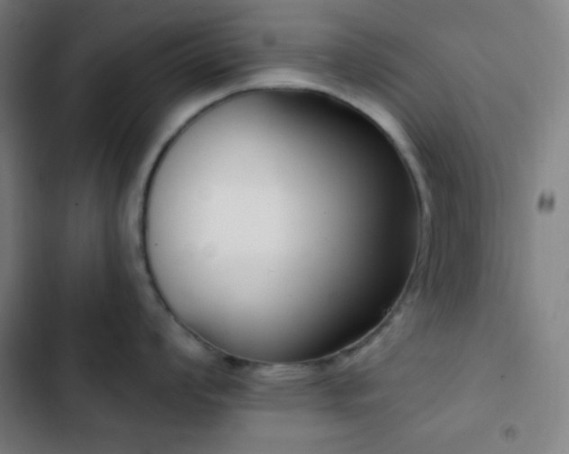 X0000103321008200809051143