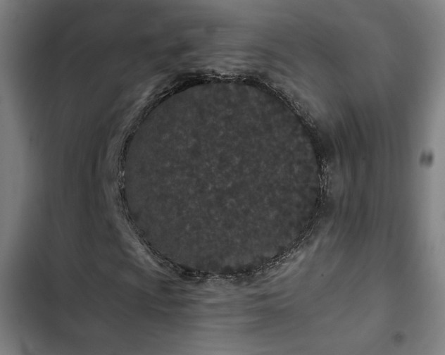 X0000103321009200809051142